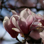 Dsc04560_large