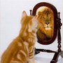 Catmine_large