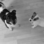 Dscf1209_large
