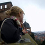Picture_large