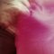 Stuffi-33_600_thumb