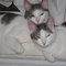 Img_0075_thumb