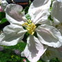 Img_2022_large