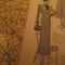 Bild_thumb
