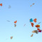 Love-project_thumb