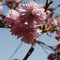 _mg_8913_thumb