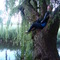 Cora_s_amsterdam_pics_summer_2010_472_thumb