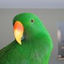 Profile_large