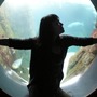 Aquarium2_large
