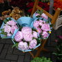 P1040168_large