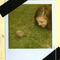 Img001_thumb