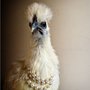 Fowl_with_a_pearl_necklace_large