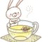 Camomile_thumb