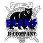 Cadet_logo_phase_d_large