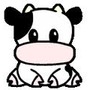 Cow_images_large