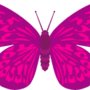Butterfly_clipart_pink_large