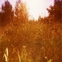 4534664460_8ff2d45d6b_o_large