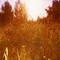 4534664460_8ff2d45d6b_o_thumb