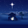 Thenativity_large