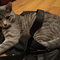Sarah_s_cam_053_thumb