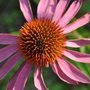 Dsc_0394_large
