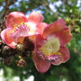 Img_0033_large