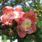 Img_0033_thumb