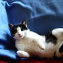 Dsc09739_large