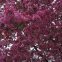 Dsc_0075_large
