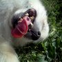 Img_20110520_175811_large