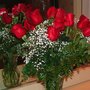 Roses_large