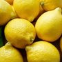 Lemons_large
