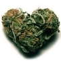 Weedluv_large
