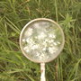 Dsc02500_large