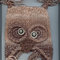 Crosseyed_owl_thumb