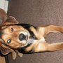 Cyndi_005_large