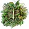 Greenman_thumb
