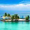 Pinr_islet_thumb