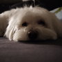 P1000101_large