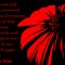 Scarlet_flower_thumb
