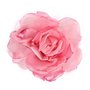 Pink_rose_large