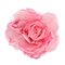 Pink_rose_thumb