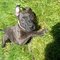 100_0765_thumb