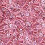 Rose_paisley_large