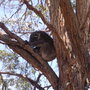 Photo0021_large