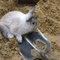 2007h1_070_thumb