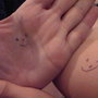 Img00827-20110503-0035_large