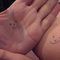 Img00827-20110503-0035_thumb