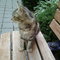 0716101845-02_thumb