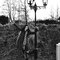 2010jolampterschelling04_copy2_thumb